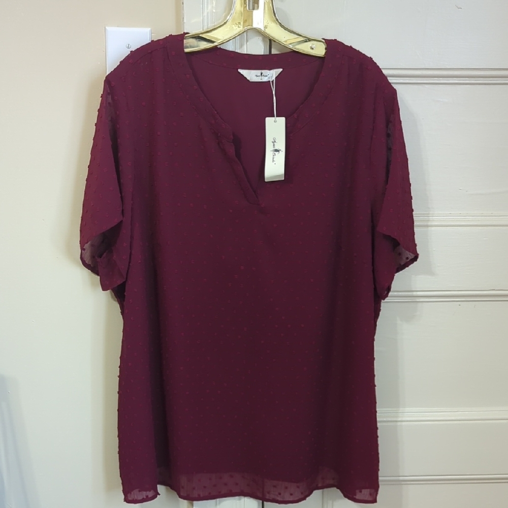 Agnes Orinda Plus Size Short Sleeve Lightly Lined Blouse NWT